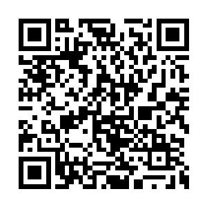 那两个半步武神境长老也不知道使用了神秘秘法二维码生成