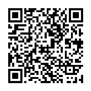 那两个学院的学生这两天差不多都在这里损他们呢二维码生成