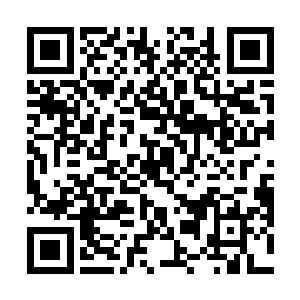 那两个小娃娃如今坐在左边的屋子底下在沉思想问题吗二维码生成