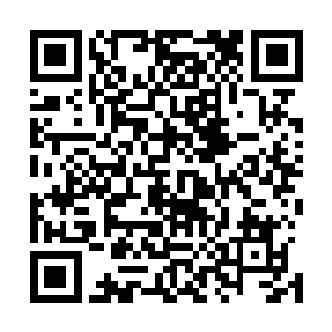 那两个巨蟒的眼中也顿时浮现出一丝绝望和难以置信的神色二维码生成