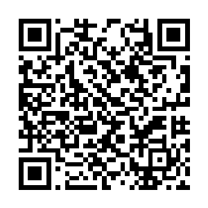 那两个晃荡的大球让龙小宝忘记了自己身体不舒服二维码生成