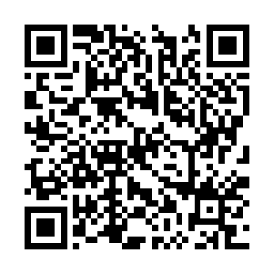 那两个杀手在出手之后就没想着能活着离开金乌城二维码生成