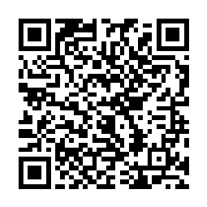 那两个用枪指着罗永超的两个家伙一看自己的老板被打死二维码生成