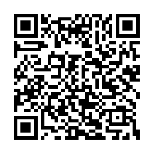 那两个看守只看到了角落里的小女孩和两具尸体二维码生成