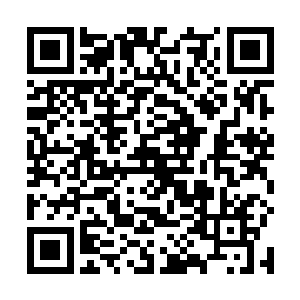 那两个门卫顿时就被夏云杰一个巴掌给煽得滚到了一边二维码生成