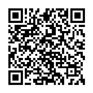那两个魔族修士也看到了被踢碎下身的两个魔族二维码生成