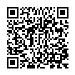 那两位中年男子在白谨的目光看过来的瞬间脸色变得十分的苍白二维码生成