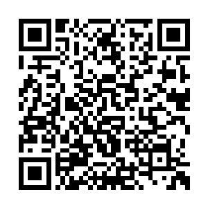 那两位幽寒洞天的入圣境只怕早就已经下死手了二维码生成