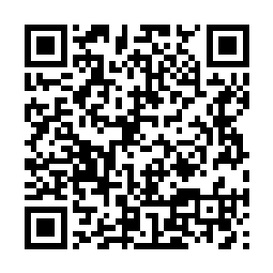 那两位月神殿的始境不可能认出伪装之下的水韵蓝二维码生成