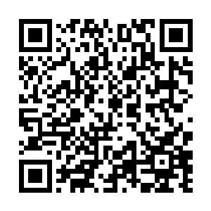 那两位点好了菜正准备吃的同学就如同中大奖了似的二维码生成