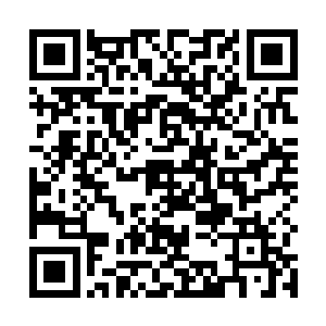 那两只巨大的前臂向着站在最前面的两个修士插了过去二维码生成