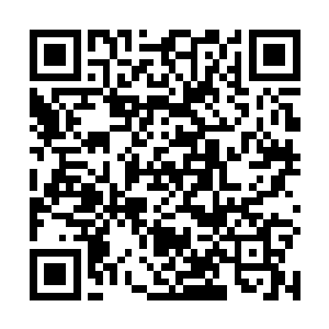 那两只悬浮在半空中的银色手枪竟然缓缓扭结成了一团二维码生成