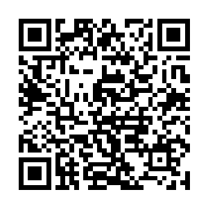 那两只火红的小鸟飞到了那片刚刚清理过的空间之后二维码生成