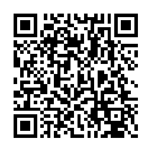 那两名剑士境界的高手虽然现在还没有追赶而来二维码生成