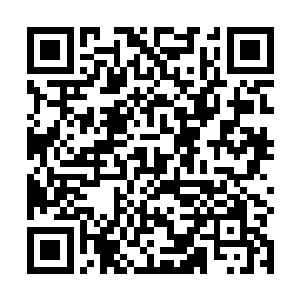 那两名本来情绪都已经平复的男童却是再次紧张了起来二维码生成