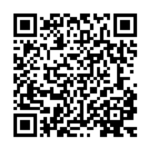 那两名黄衫女子一进后殿便抢先一步站在了左右进入正殿的入口二维码生成