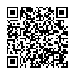 那两头虎视眈眈的毒灵兽和葵岚兽已经冲到他的近前二维码生成