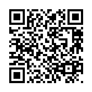 那两女一男不可思议的看着杨洛他们二维码生成