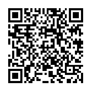 那两条已经完成一次进化的金圣银圣重新飞了下来二维码生成