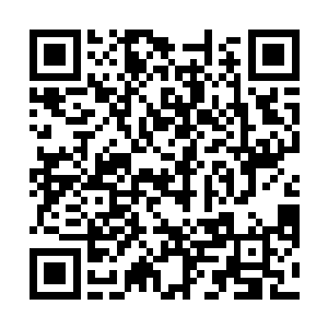 那两条怪蛇可以在这种情况下让一个苍穹骑士灰飞烟灭二维码生成