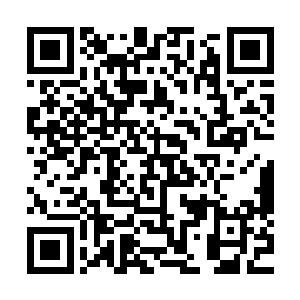 那两条飞舞在天空之中的蛇身上的鳞片不断如火雨一样的落下二维码生成