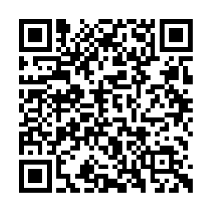 那两种本应该相克的力量却互相提升彼此的威力二维码生成