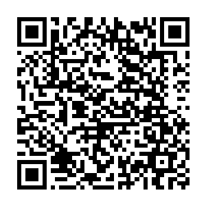 那个一心陷害我的红衣主教甚至收到了两个主动上门的银精灵女奴二维码生成