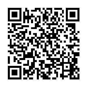 那个一身红衣的精灵少女再一次出现在他的眼前二维码生成