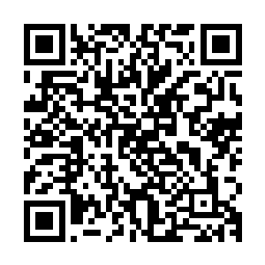 那个一身黑袍的身影也带着冰冷而恐怖的气息缓缓的降落了下来二维码生成