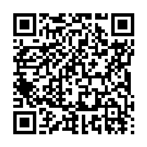 那个一颦一笑都很容易让人想入非非的美妇秦掌门二维码生成