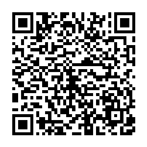 那个不足三十平房挂着绿色碎花窗帘的落脚地就是夏天的温馨小家二维码生成