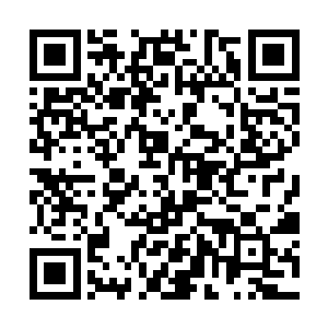 那个专家团队在潜龙岛选了三个适合建造城堡的地址二维码生成