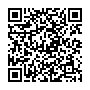 那个之前差点和夏天打起来的帝级高手非常不满的问道二维码生成