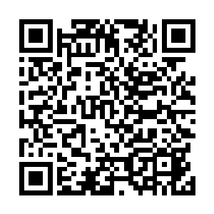 那个五百余米长的混沌兽竟然被燕山魂一锤给轰飞了出去二维码生成