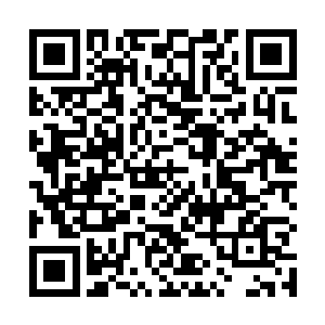 那个人已经强大到了令到他们根本就生不出来报复之心二维码生成