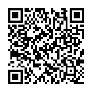 那个人的两只手已经如铁钳一样钳住了自己的双肩二维码生成