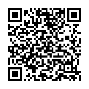 那个人类妖圣日后定然也会给他造成更大的威胁二维码生成