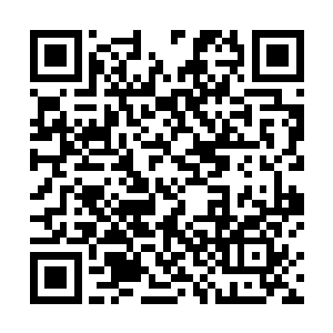 那个什么……我有一些一会儿表演的想法要跟她讨论的二维码生成