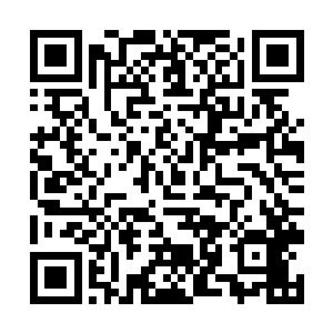 那个什么位面战争督察队居然把整个洪家都给抓走了二维码生成