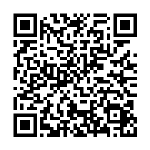 那个什么庞金华的老跑到仙桃村来凑什么热闹呢二维码生成