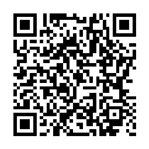那个从她十二岁起就带着她在军营里玩耍的爷爷二维码生成