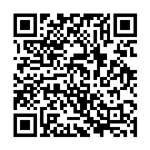 那个保安说完拿着手里的短棍直接向夏天的头上砸去二维码生成