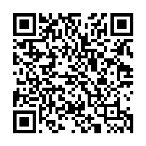 那个保护许紫烟的阵盘释放出来的结界并没有笼罩住许紫烟二维码生成