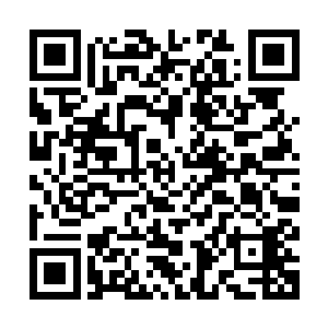 那个假的还真太始说这造化神玉台里面留有还真太始的功法传承二维码生成