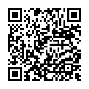 那个做好了防守的半步地级高手根本就来不及偷袭夏天二维码生成