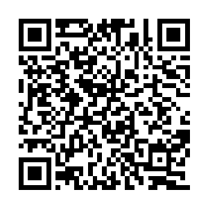 那个储物袋便从紫烟空间内飞到了许紫烟的手上二维码生成