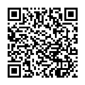 那个光罩便生出了一股弹力将许紫烟的手阻止在外面二维码生成