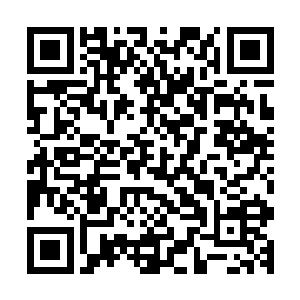 那个几个月前还活蹦乱跳的少女则是眼前这个男人最大的弱点二维码生成