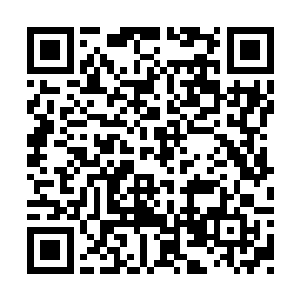 那个刚才突然消失的人出现在了东方家主的跟前二维码生成