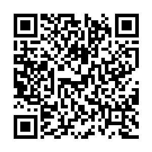 那个化成一堆黑炭的蜘蛛魔的榜样已经摆在了面前二维码生成